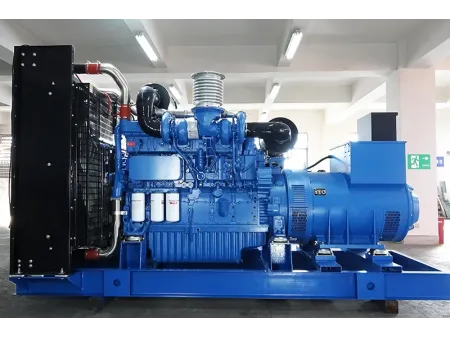 700kW-1000kW 디젤 발전기 세트