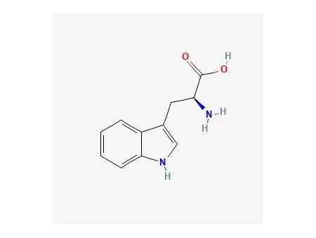 L-트립토판