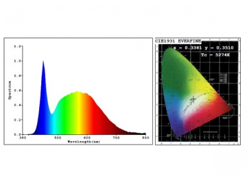 5W LED 電球A55