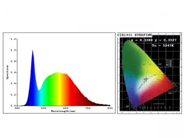 5W LED 電球A55