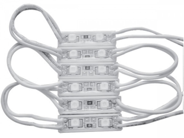 LED 모듈