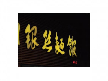 LED 모듈